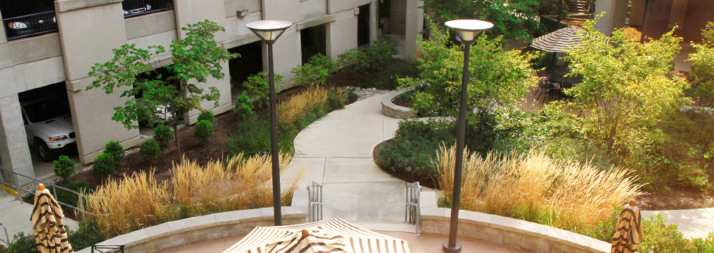 Louisville Commercial Landscaping Services